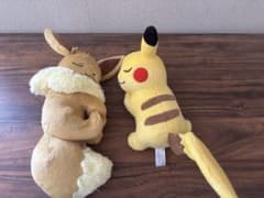 포켓몬 오네무리 피카츄와 이브이 데데네 호게타 봉제 인형 세트