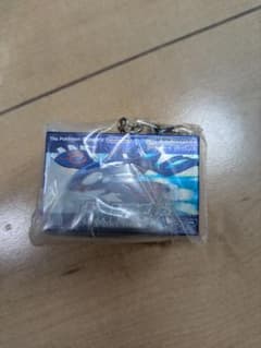 30th Anniversary Pokémon Package & Game Card Keychain