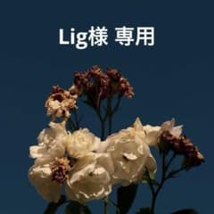 Lig様専用のサムネイル
