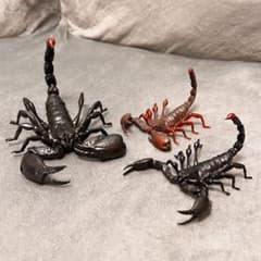 m61702286798_1.jpg?1740402964