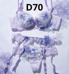 ワコール サルート63G チリ ブラジャー ソング ガーターベルト 3点