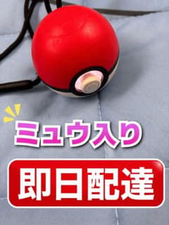ちゃーさん専用　モンスターボール2個のサムネイル
