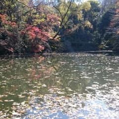 ゆみっぺ さん専用のサムネイル
