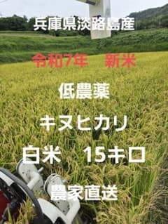 令和7年新米】兵庫県淡路島産キヌヒカリ精米後15キロ(低農薬白米)農家 
