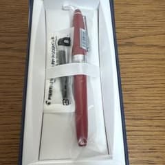 PILOT ボールペン FKNS-M レッド　パイロット　万年筆　中字