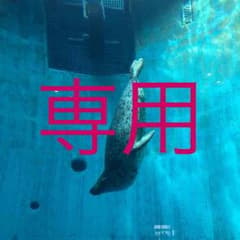 お母さんのガミガミがこどもをダメにする  育児本のサムネイル