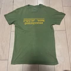Patagonia パタゴニア Tシャツ グリーンのサムネイル