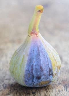 １苗限定☆激ヤバ変態〜いらっしゃいCampaniere Mutant　イチジク 激ヤバ変態いらっしゃい Campaniere Mutant イチジク 穂木 苗 - メルカリ