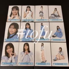 森本茉莉 12種コンプ ひな誕祭 MONSTER GROOVE 日向坂 生写真 - メルカリ