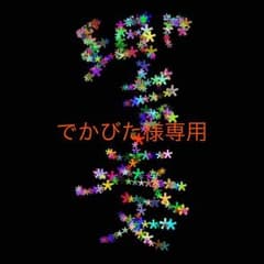 でかびた様専用のサムネイル