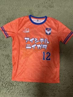 新潟アルビレックス　ユニフォーム　M,Lのサムネイル