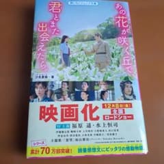 그 꽃이 피는 언덕으로, 너와 또 만날 수 있으면.