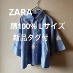 ZARA 刺繍入りシャツ ライトブルー Lのサムネイル