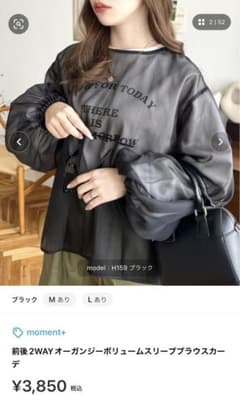【値下げ可能】シアーブラウス○1点限りのサムネイル