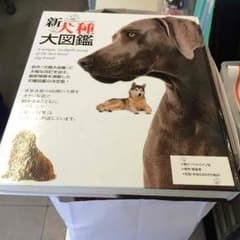 新犬種大図鑑のサムネイル