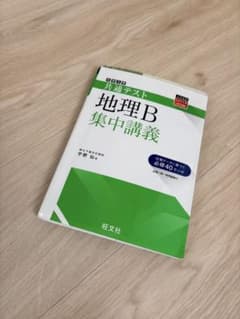 地理B 集中講義 旺文社のサムネイル