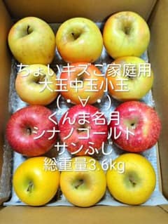 Aomori Prefecture Apples for Home Use, Slightly Scratched, Total Weight 3.6kg