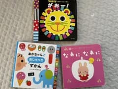 Sassyのあかちゃんえほん がおー!のサムネイル