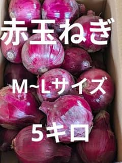 赤玉ねぎ M〜L サイズ 箱込み 5 - メルカリ