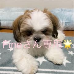 Fineさん専用です。のサムネイル