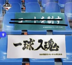 *신품 미개봉 [하이큐] 가야야 횡단막 타월