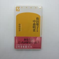 松田聖子と中森明菜 中川右介 幻冬舎新書のサムネイル