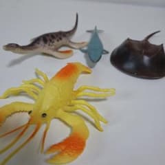 海洋生物のサムネイル