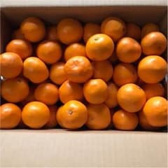 はるみ★家庭用★約6.5kgのサムネイル