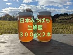 日本みつばち　生蜂蜜　国産純粋　日本蜜蜂蜂蜜　#2のサムネイル
