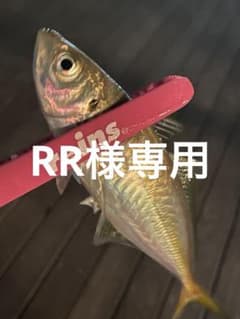 RR様専用 21エクスセンスOH作業料金のサムネイル
