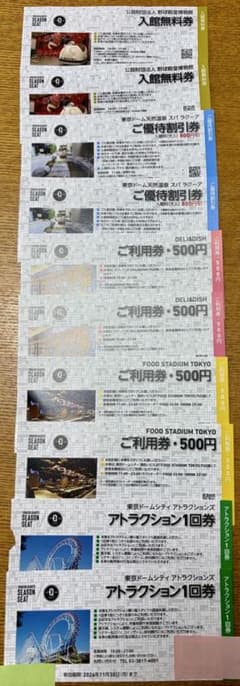 2026年 東京ドームシティ シーズンシートご優待券のサムネイル