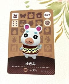 どうぶつの森 amiiboカード ゆきみ 067 - メルカリ
