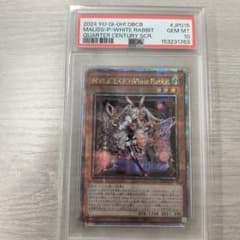 【ARS10+】M∀LICE＜P＞White Rabbit 25th PSA10 PSA10】M∀LICE＜P＞White Rabbit 25th アジア版 - メルカリ