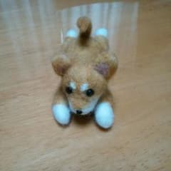 柴犬 羊毛フェルトのサムネイル