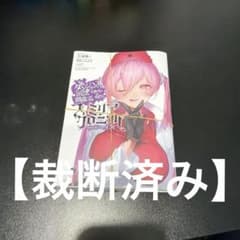 【裁断済み】【小説】ダンまち　ファミリアクロニクル episodeヘイズのサムネイル