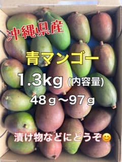 マンゴー(摘果マンゴー)青マンゴー グリーンマンゴー 1.3kg - メルカリ