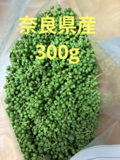 本日採れたて　山椒　山椒の実　300gのサムネイル