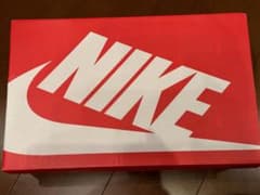 Nike Air Max ZM950 Vast Grey ズーム950 日本限定のサムネイル