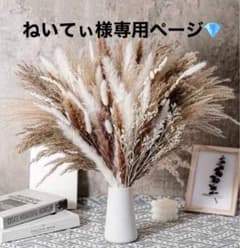 ねいてぃ様専用 ✩のサムネイル