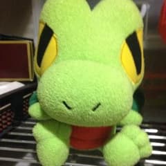 ポケモン キモリ ぬいぐるみのサムネイル