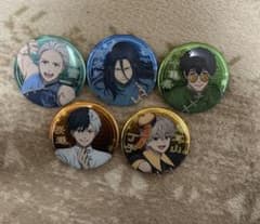 WIND BREAKER 缶バッジ 5種セット カンフー - メルカリ