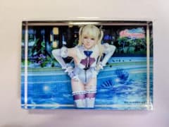 DOAXVV マリー・ローズ 透かしアクリルブロック デッドオアアライブ 