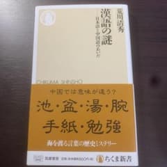 漢語の謎 日本語と中国語のあいだのサムネイル