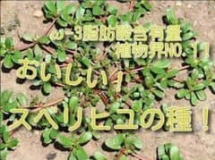 ω-3脂肪酸NO.1！スベリヒユの種　100粒のサムネイル