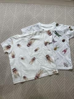 昆虫柄 Tシャツ 2枚セット 100-110cmのサムネイル