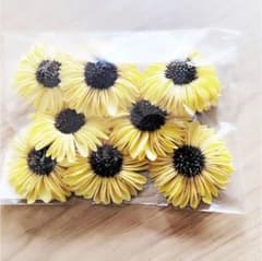 ソーラーひまわりのサムネイル