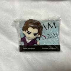 DREAM BOYS 2023 渡辺翔太 ぬいぐるみのサムネイル