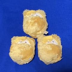 가정 교사 히트맨 REBORN! 디노 쿠루미타 피누이