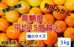 和歌山県有田産　平均糖度15度越え❗ゆら早生　小玉みかん　10kg　みかんキング 和歌山県有田産 平均糖度15度越え❗極小宮川早生 3kg みかんキング