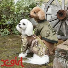 ★エックスガール★ 犬服　ドッグウェア　X-girl(エックスガール)MA-1のサムネイル